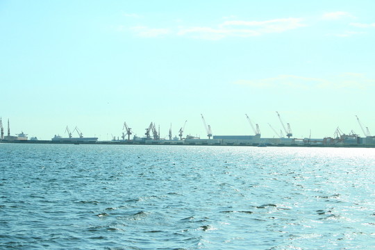 大海
