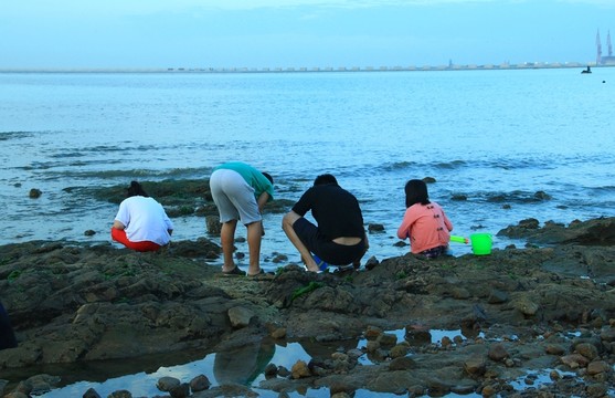 趕海