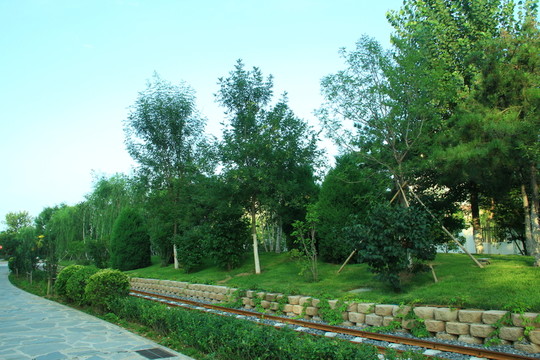林蔭路