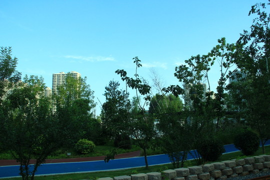綠化