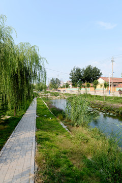 城市綠地 園林景觀