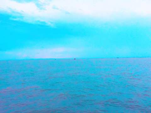 大海 海洋