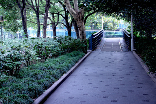 公園道路