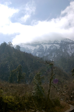 二郎山風光