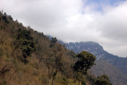 二郎山風(fēng)光