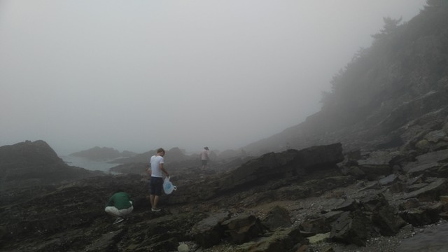 海邊