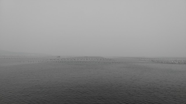 大海 海邊