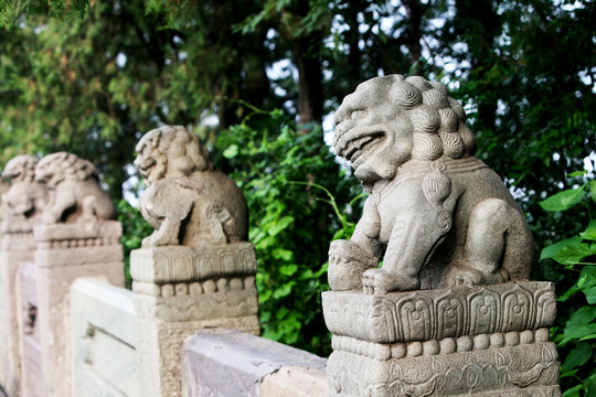 獅子 石雕 北京盧溝橋 雕塑