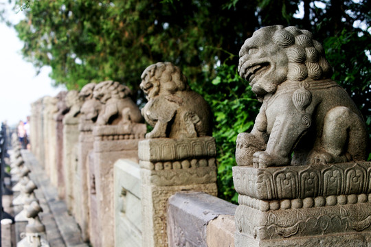 獅子 石雕 北京盧溝橋
