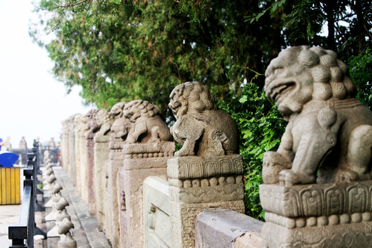 盧溝橋 石獅子