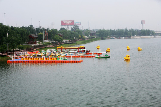 小黃鴨 水上公園 游船
