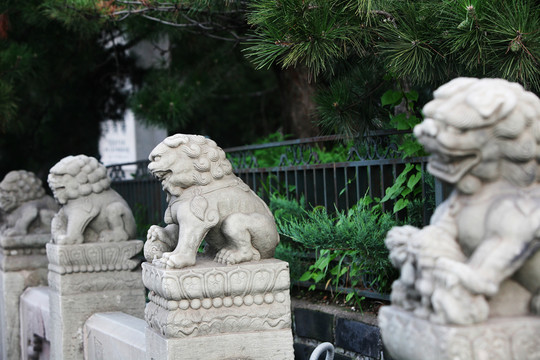 盧溝橋 石獅子