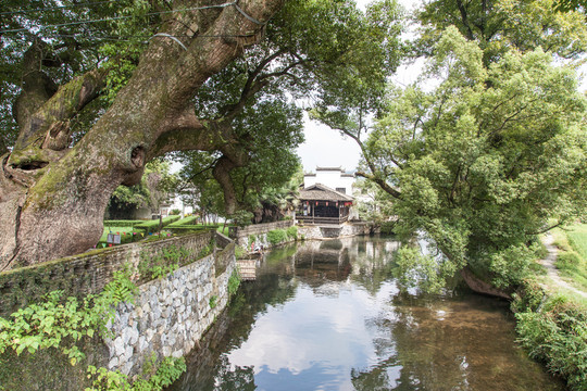 古鎮(zhèn)