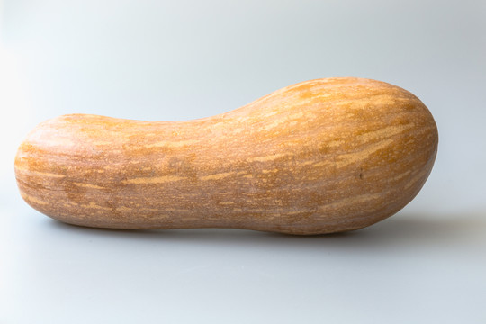 靜物攝影南瓜