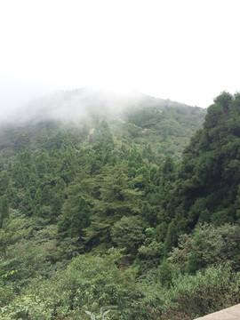 南岳云霧