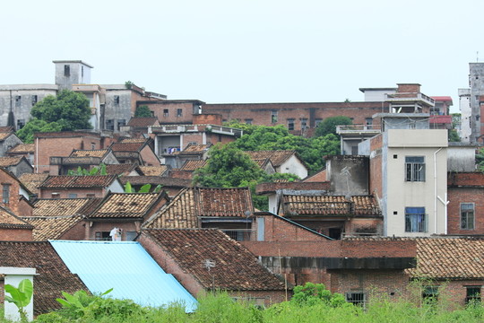 老農(nóng)村
