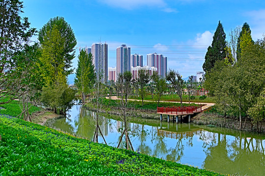 公園城市