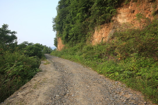 黎坪