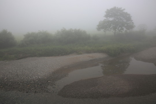 晨霧