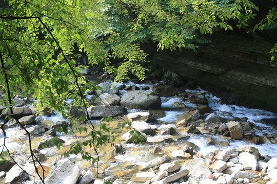 山水