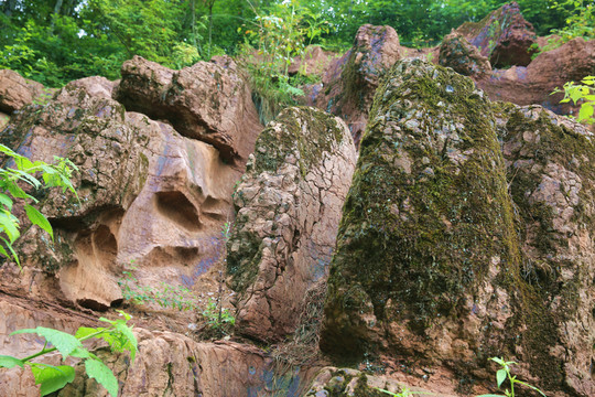 中華龍山
