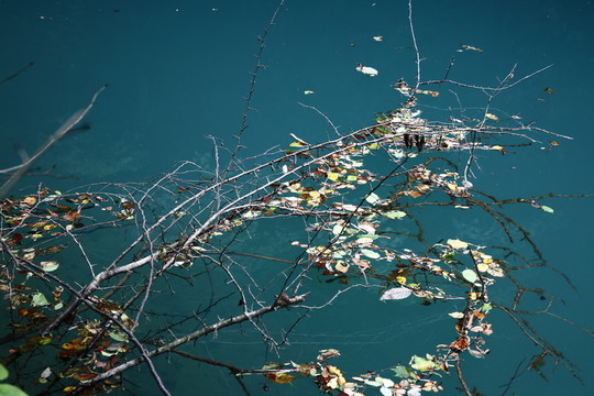 山水