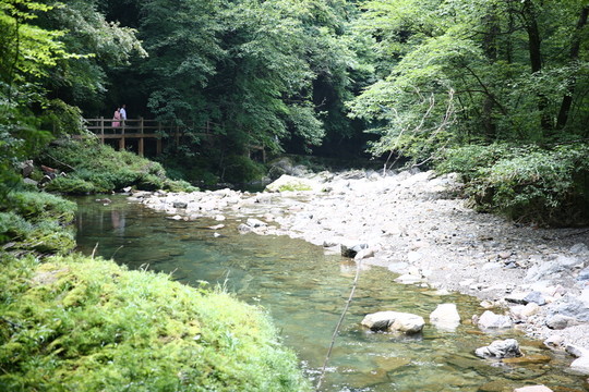 山水