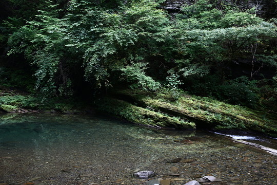 山水