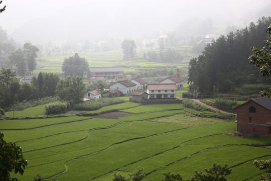 黎坪山水