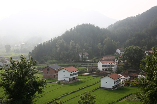 黎坪山水