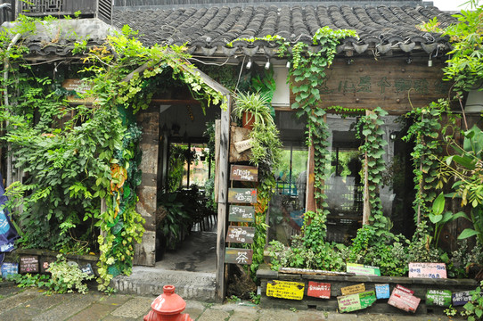 西塘小店