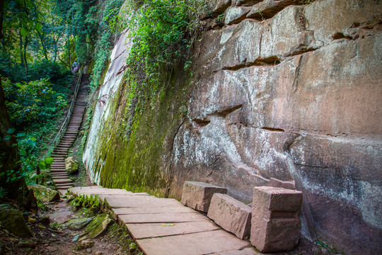 天臺(tái)山山路圖片