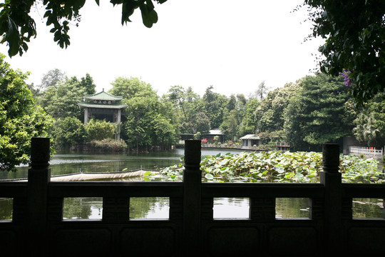 荔枝灣 花園 風(fēng)光