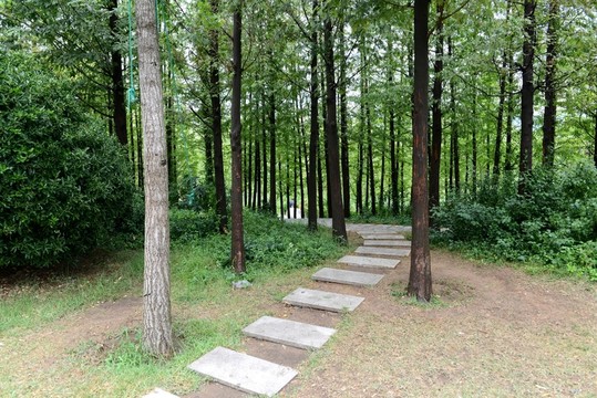 小樹林