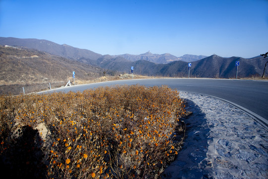 高山