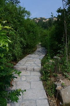 石板小路