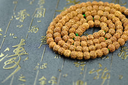 金剛菩提