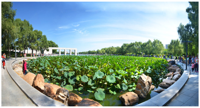 長春世界雕塑公園荷塘美景