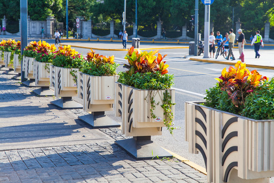 城市道路花瓶景觀