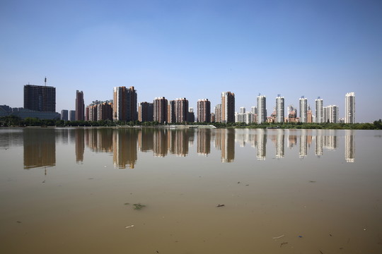 城市樓群