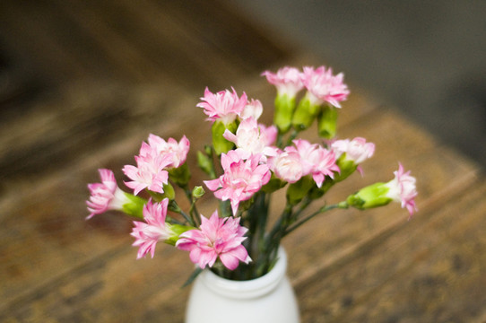 花卉