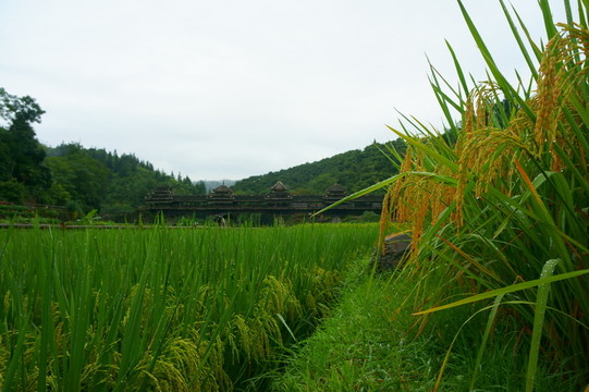 風(fēng)雨橋