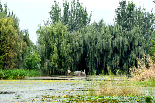 西昌濕地公園
