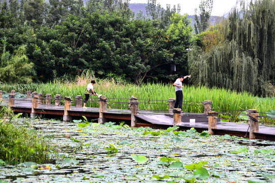 西昌濕地公園晨練