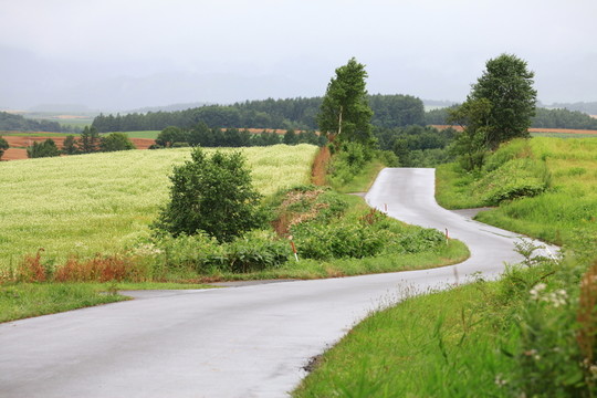路