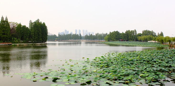 武漢東湖