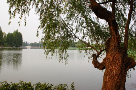 武漢東湖