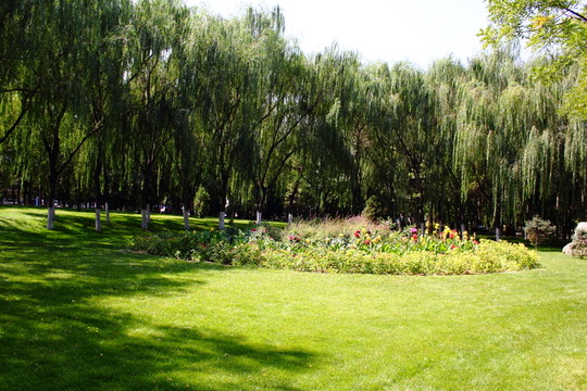 校園
