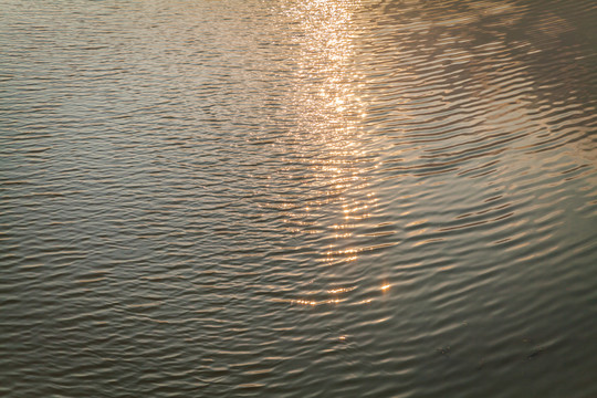 夕陽 水紋