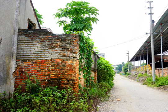農(nóng)村建筑